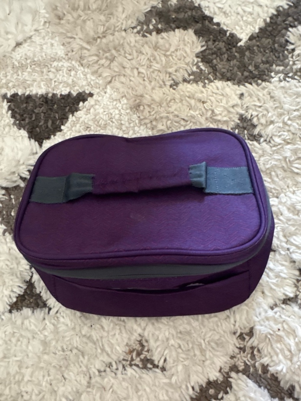 Purple lunch box with Top Handle